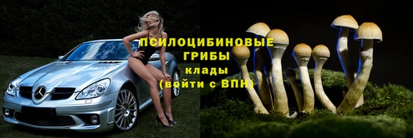 гидра Абдулино