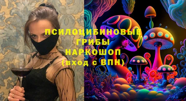 ECSTASY Алзамай