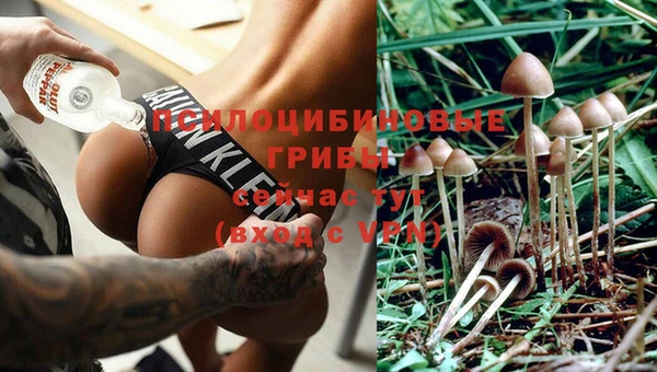 ешки Армянск