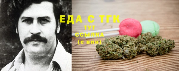 ECSTASY Алзамай